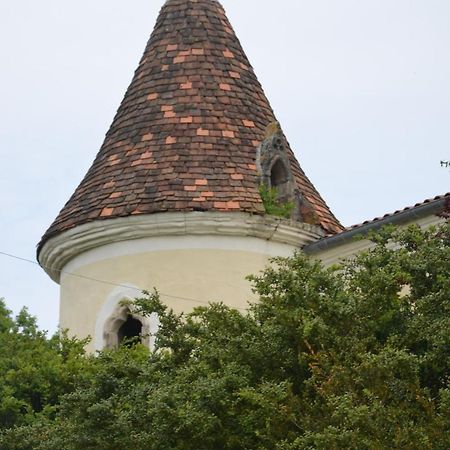 Chambres D'Hotes Du Chateau De Saint Sulpice La Sauvetat-sur-Lède Εξωτερικό φωτογραφία