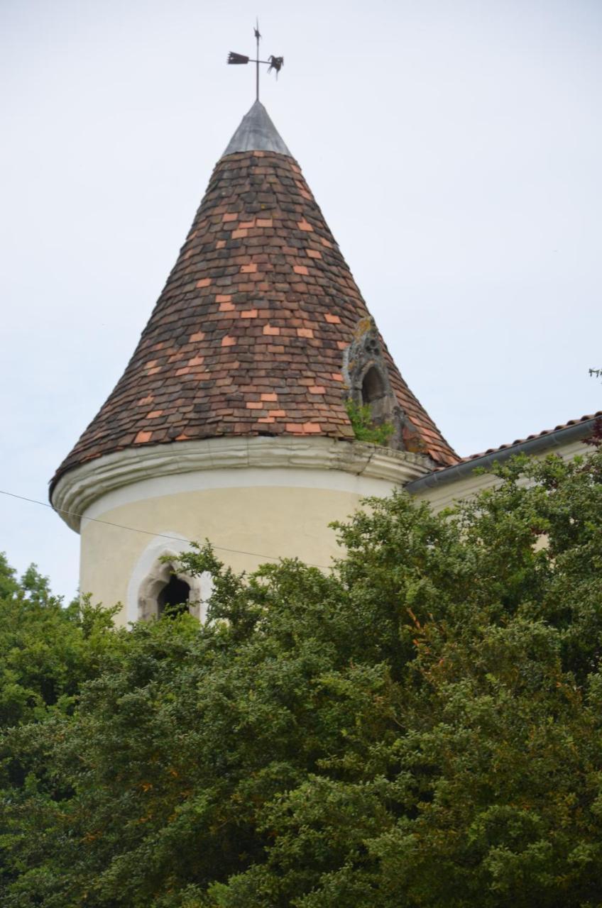 Chambres D'Hotes Du Chateau De Saint Sulpice La Sauvetat-sur-Lède Εξωτερικό φωτογραφία